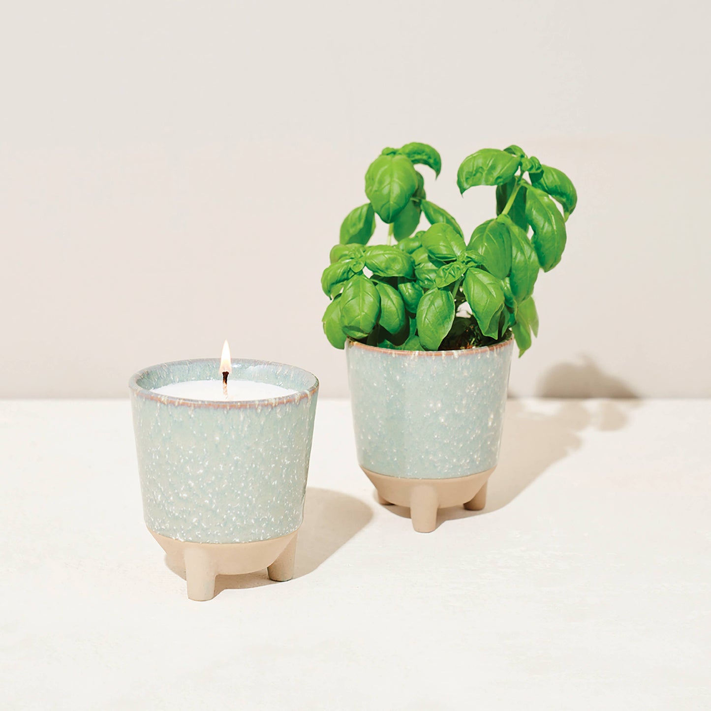 Glow & Grow 2-in-1 Candle + Grow Kit