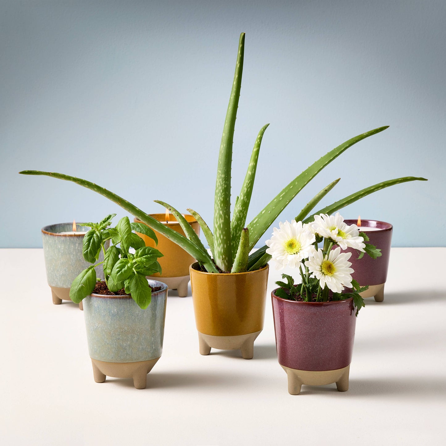 Glow & Grow 2-in-1 Candle + Grow Kit