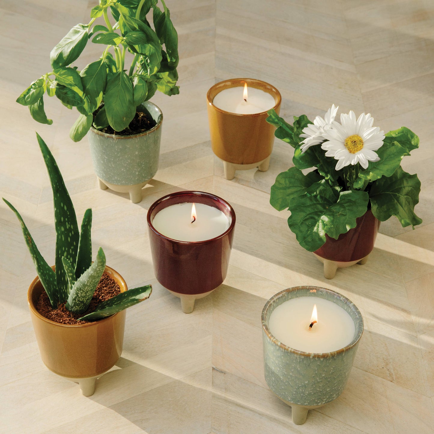 Glow & Grow 2-in-1 Candle + Grow Kit