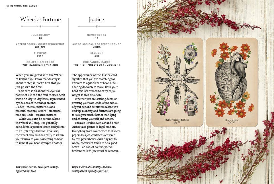 Antique Anatomy Tarot Kit