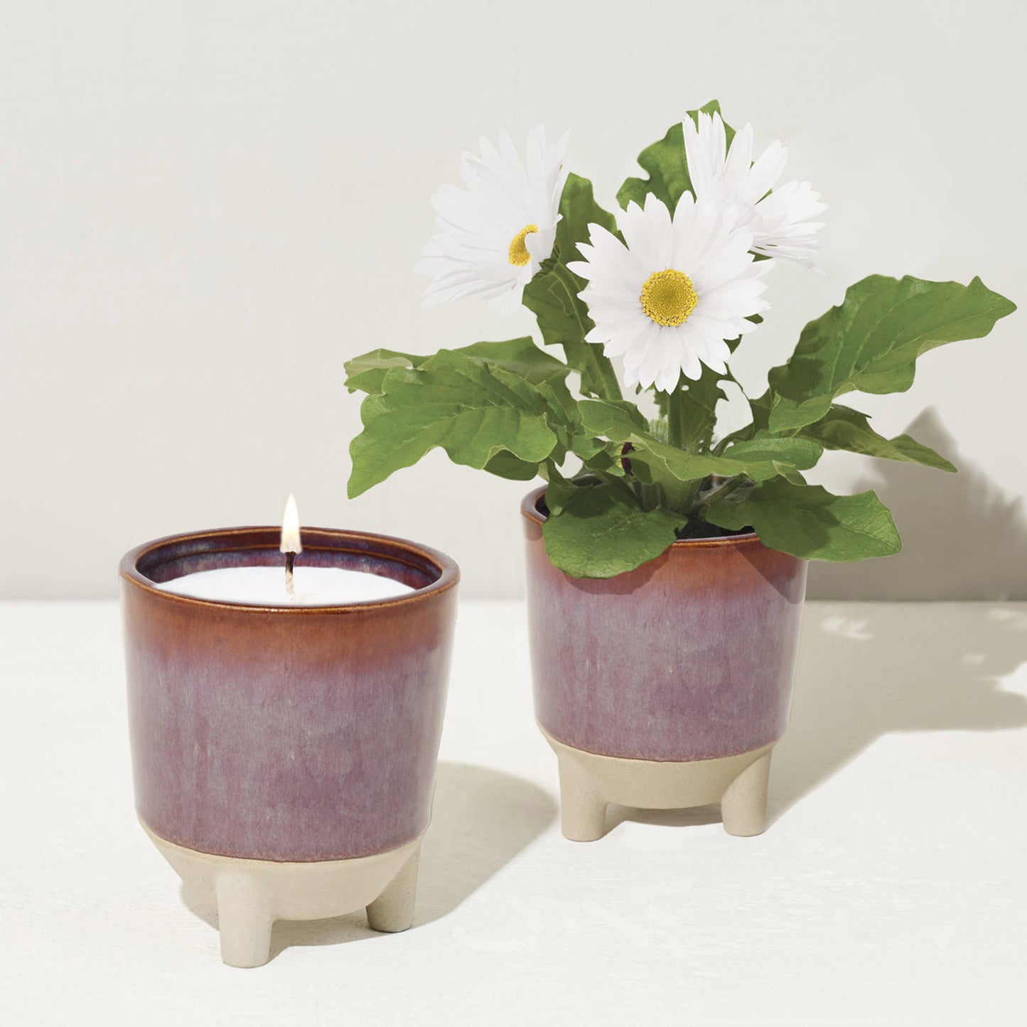 Glow & Grow 2-in-1 Candle + Grow Kit