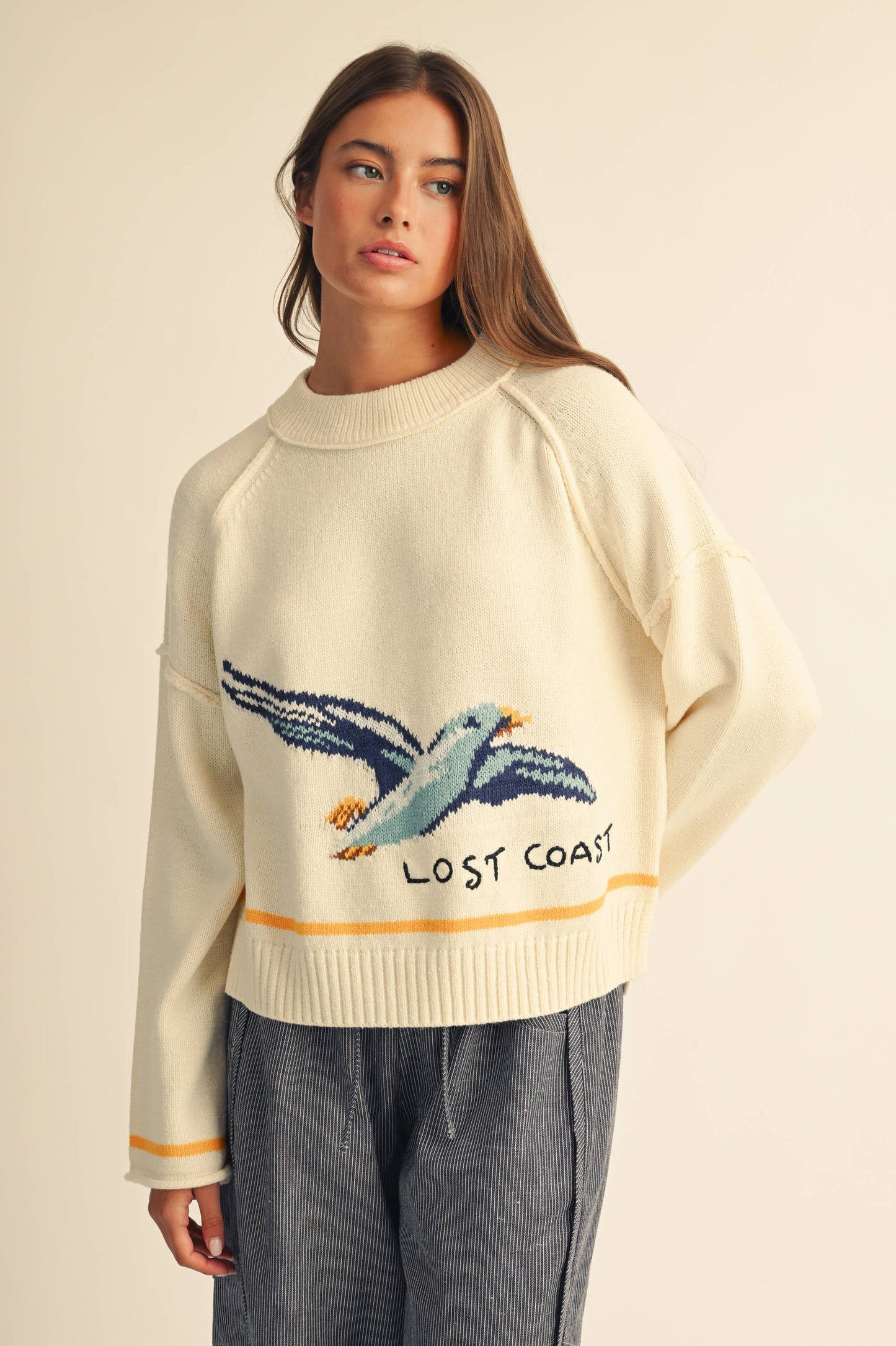 Callie the Coastal Seagull