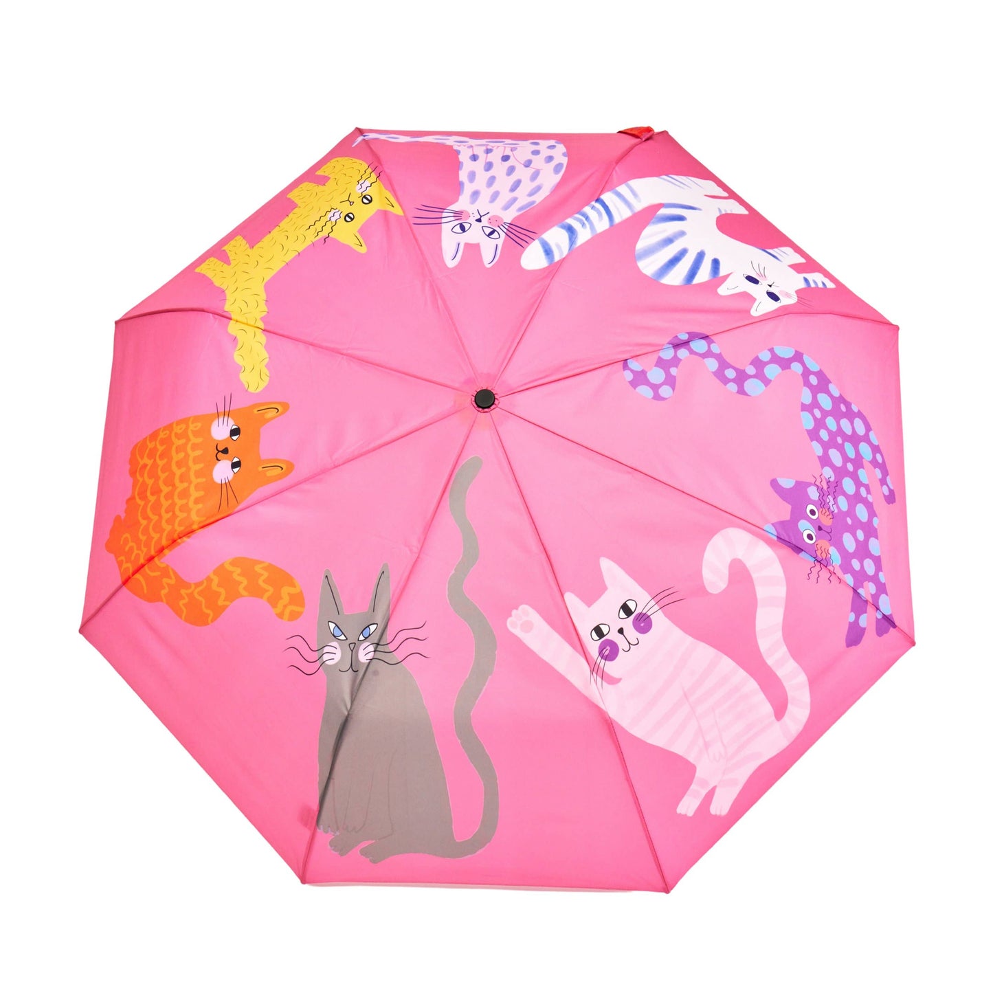 Fuchsia/Lime/Ice Arty Cats Duck Umbrellas