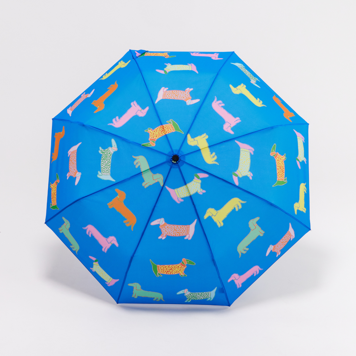 NEW! Dogs in Blue Dachshund Eco-friendly Duckhead Umbrella