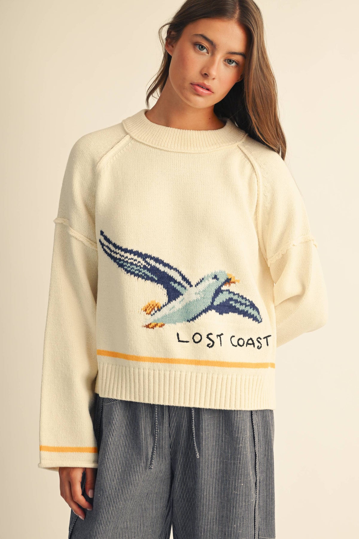 Callie the Coastal Seagull