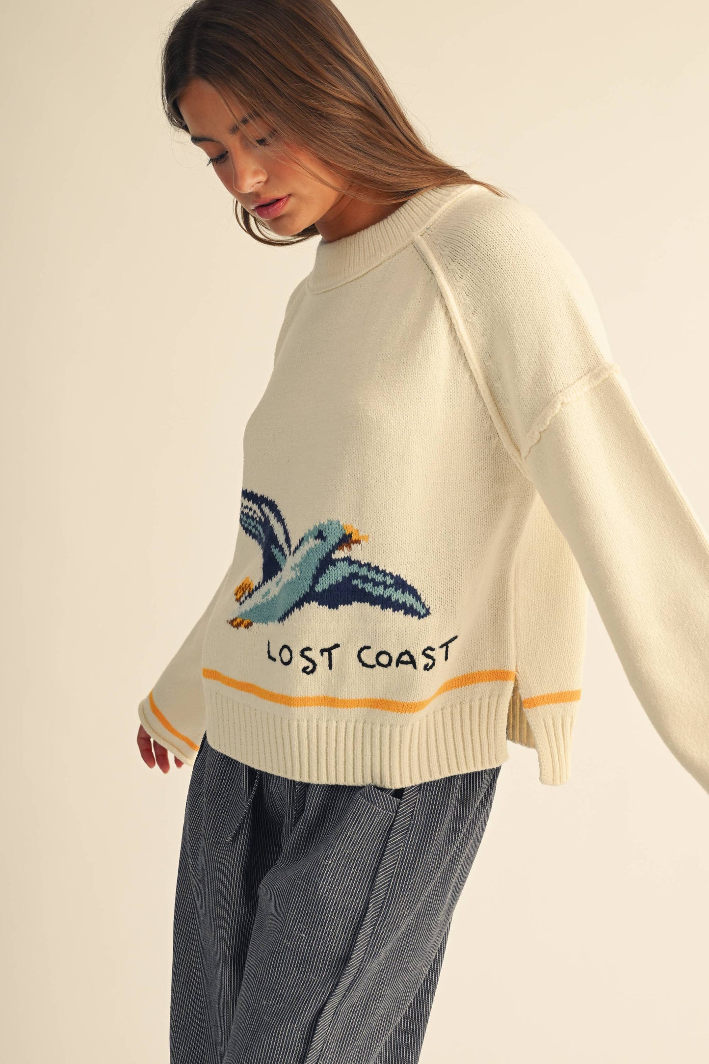 Callie the Coastal Seagull