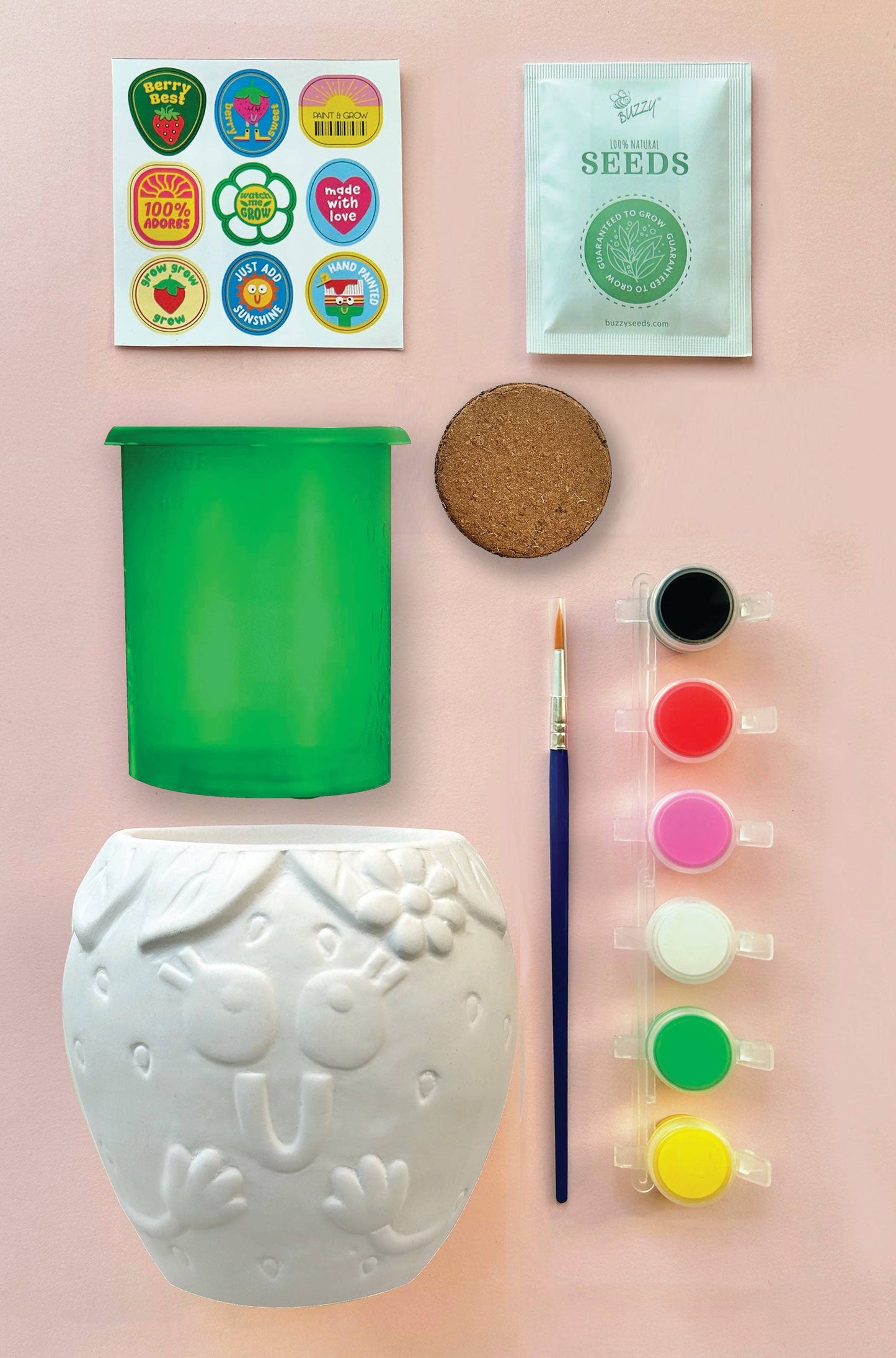 Paint & Grow- Strawberry