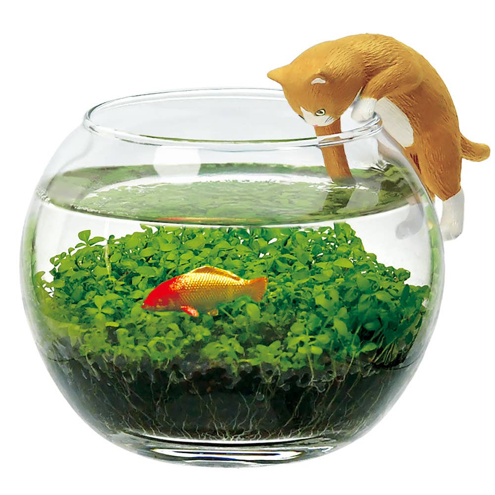 Water Garden with Cat - Brown