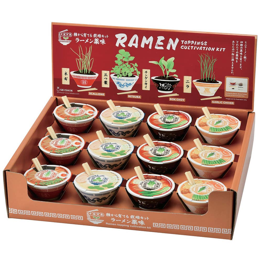 Ramen Garden - Assorted 4 Styles