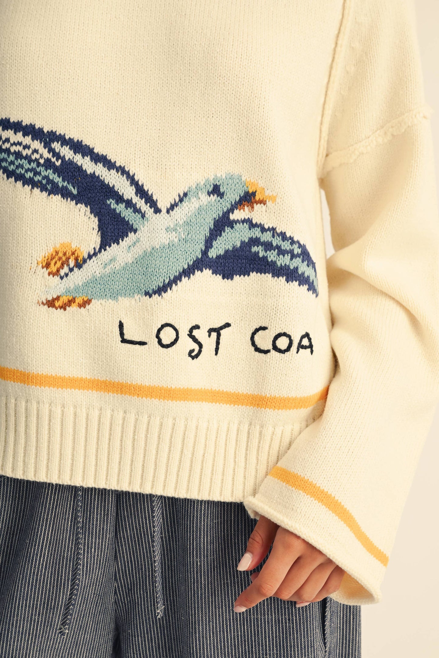 Callie the Coastal Seagull
