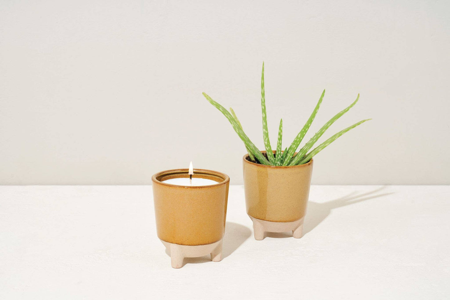Glow & Grow 2-in-1 Candle + Grow Kit