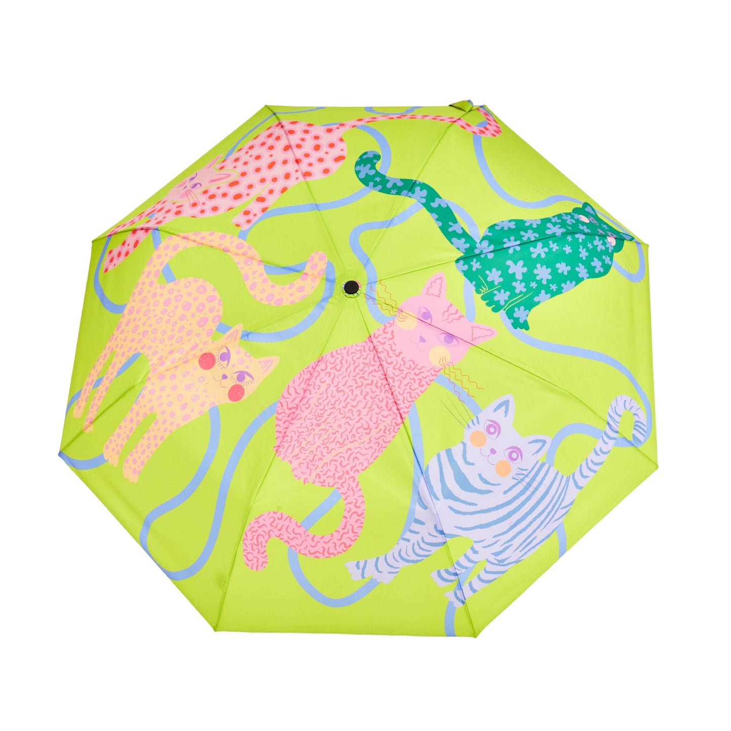 Fuchsia/Lime/Ice Arty Cats Duck Umbrellas