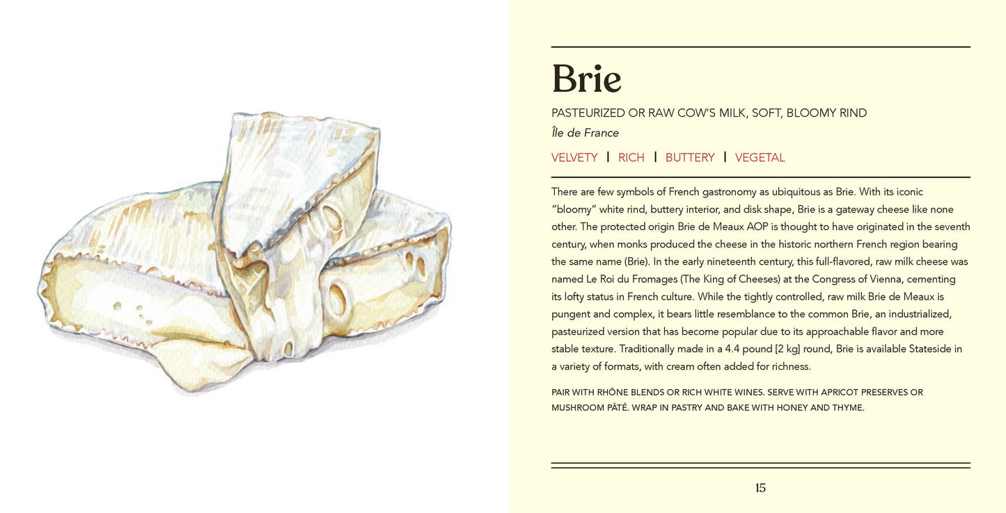 Cheese, Illustrated