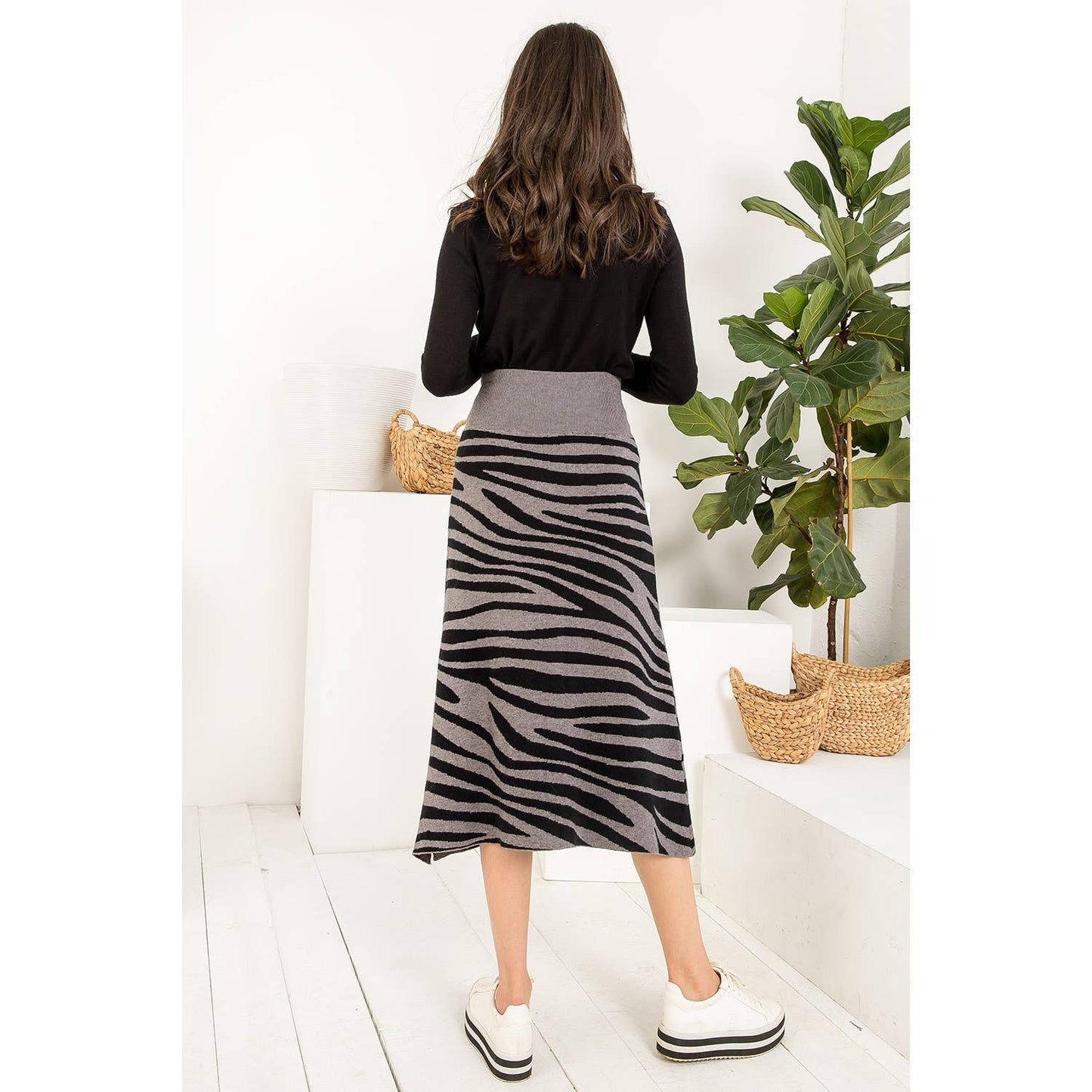 Zebra Zebra