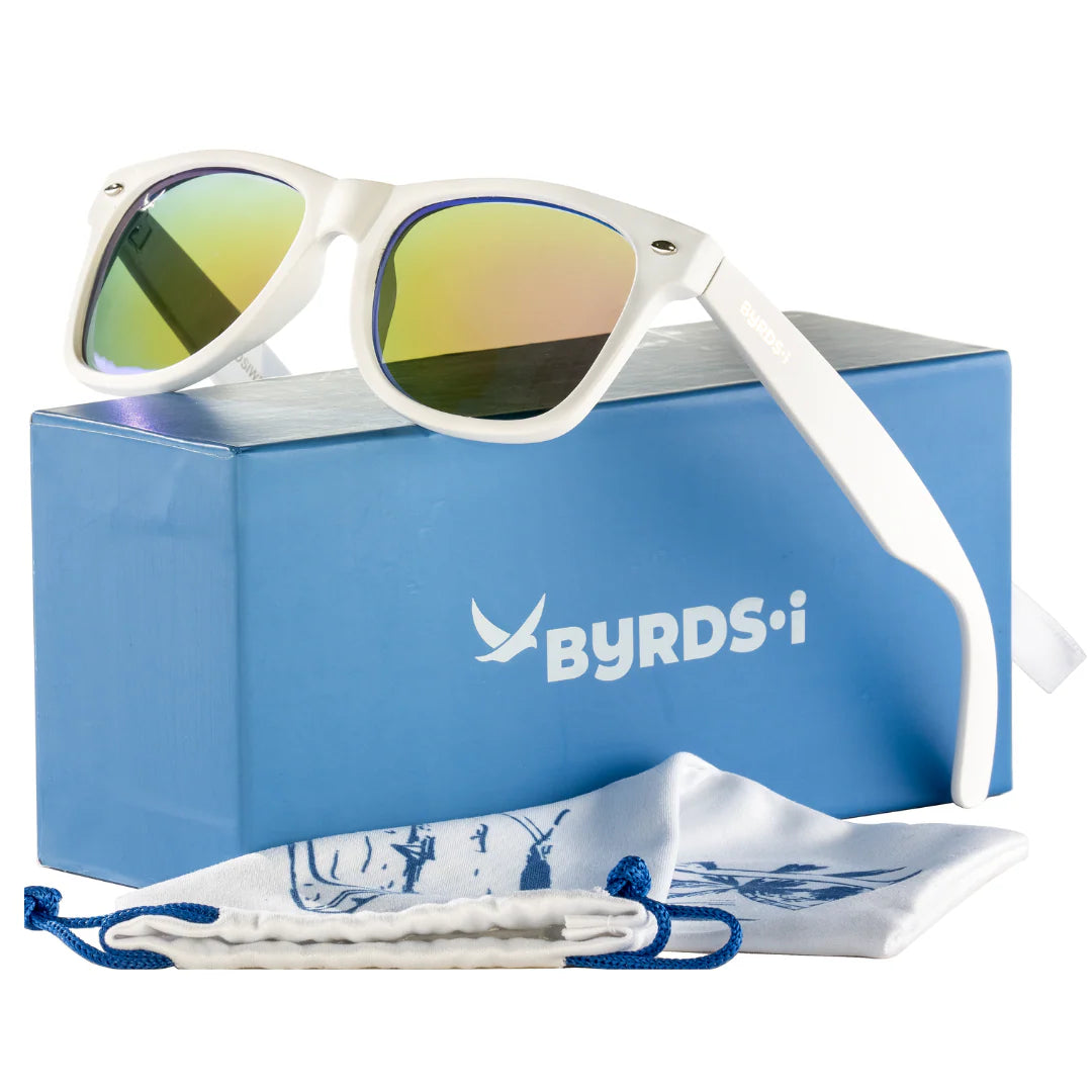 Wayfarer Sunglasses in White