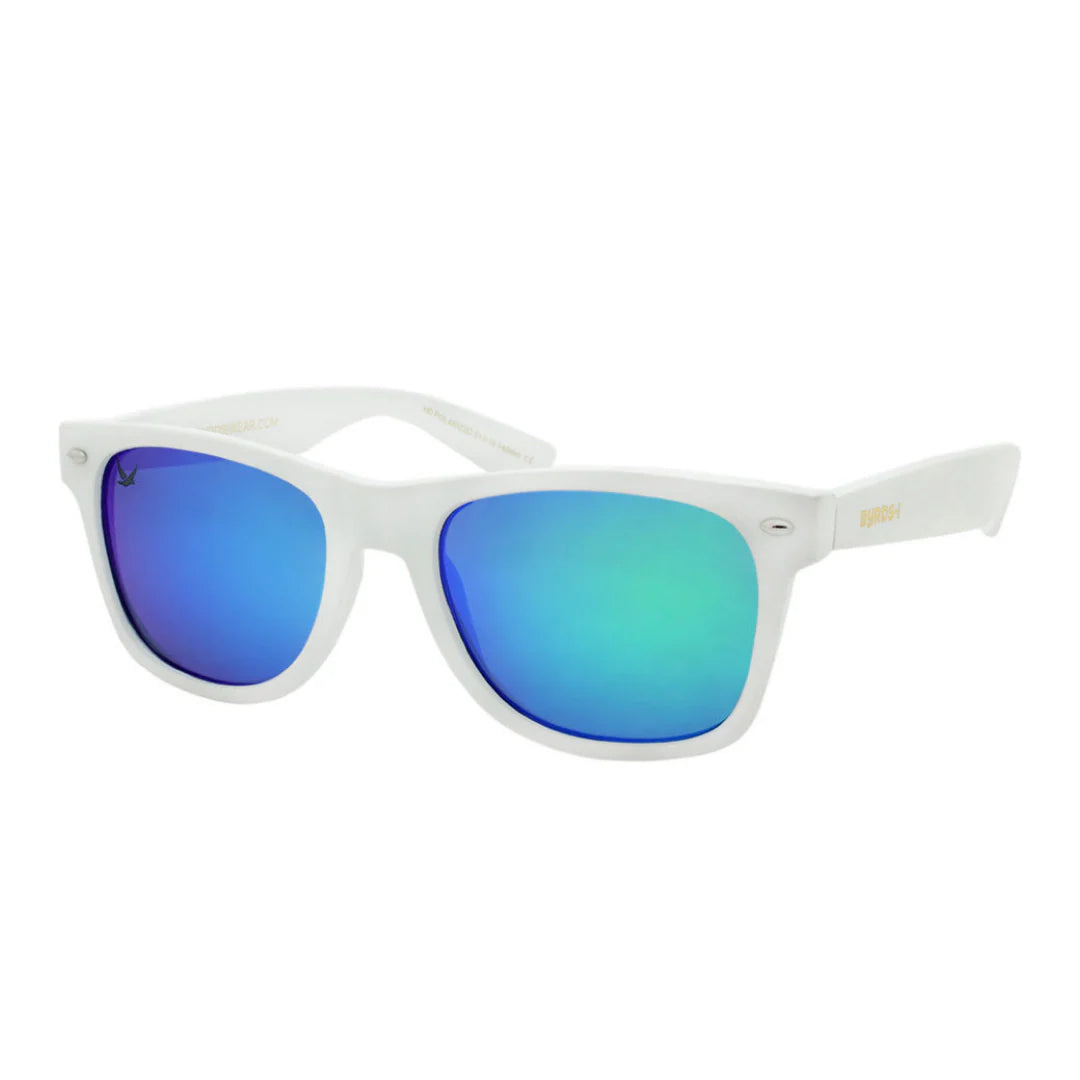 Wayfarer Sunglasses in White