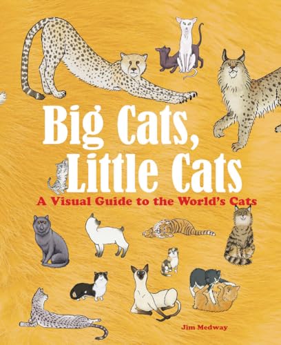 Big Cats Little Cats