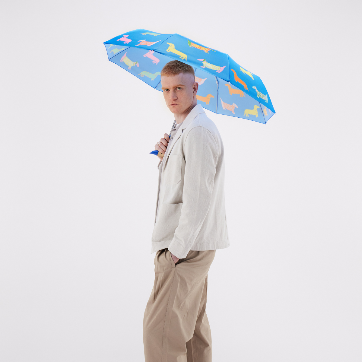 NEW! Dogs in Blue Dachshund Eco-friendly Duckhead Umbrella