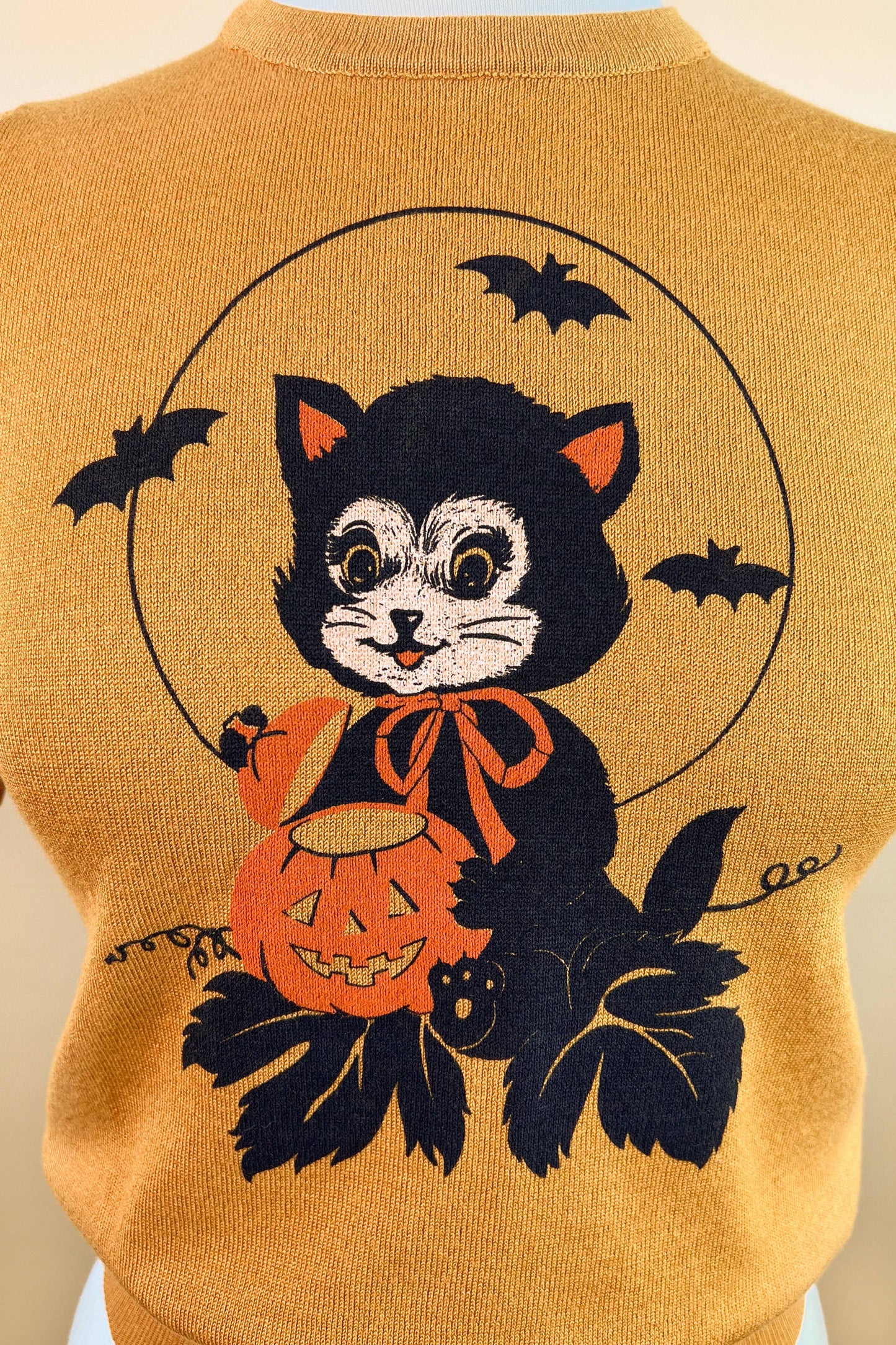 Black Cat Night