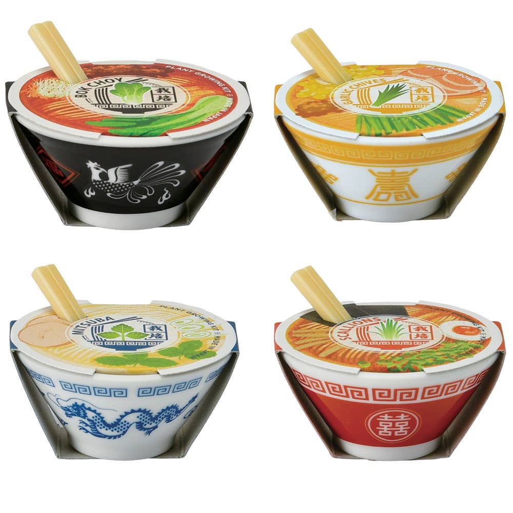 Ramen Garden - Assorted 4 Styles