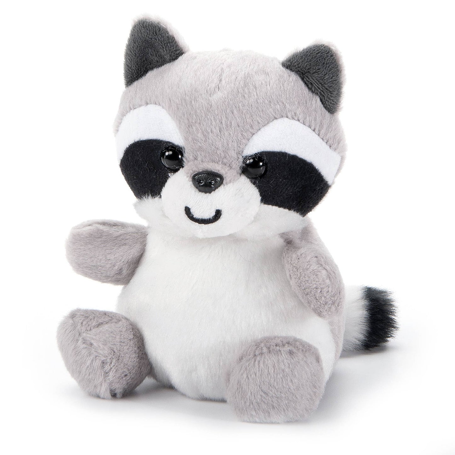 Rocky the Raccoon