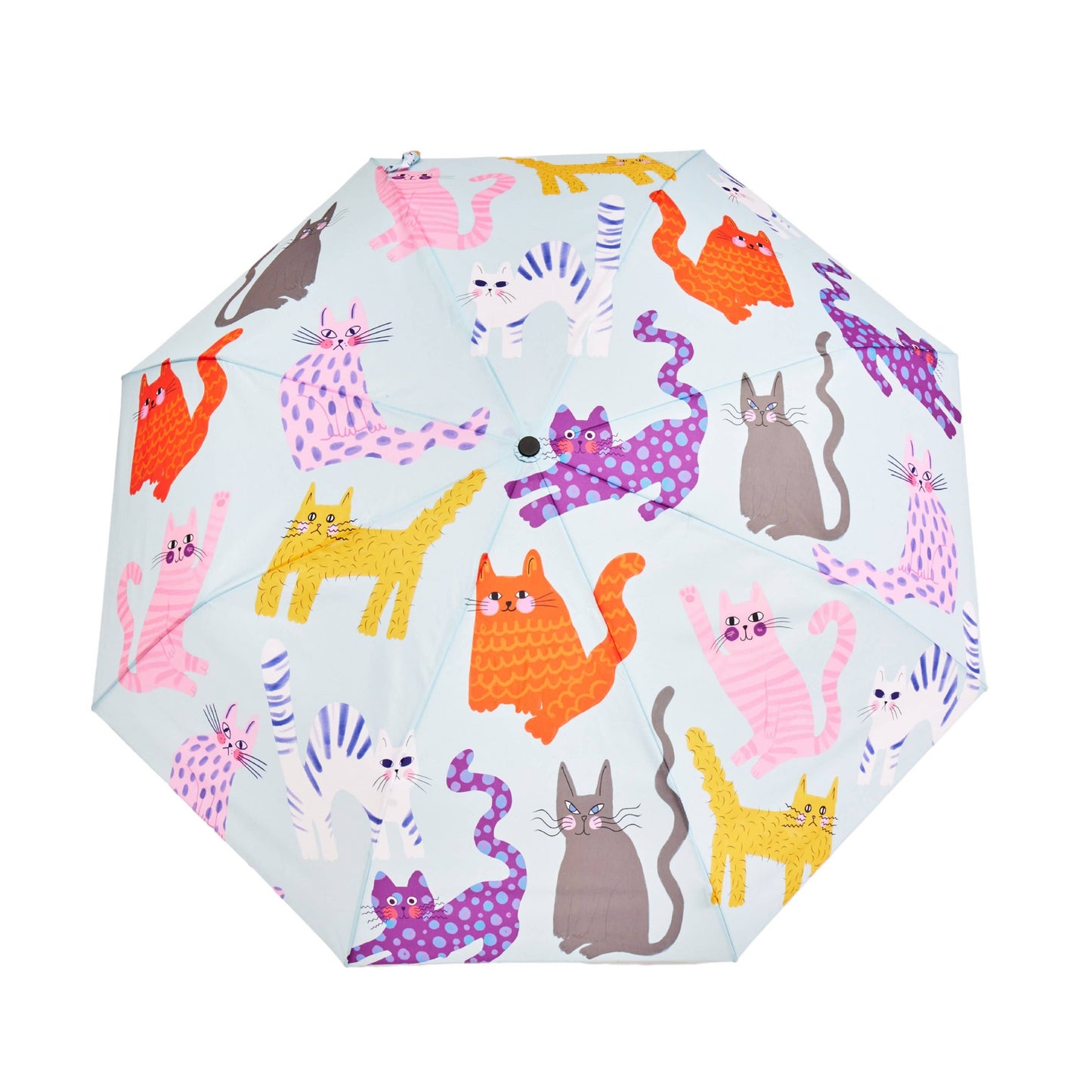 Fuchsia/Lime/Ice Arty Cats Duck Umbrellas