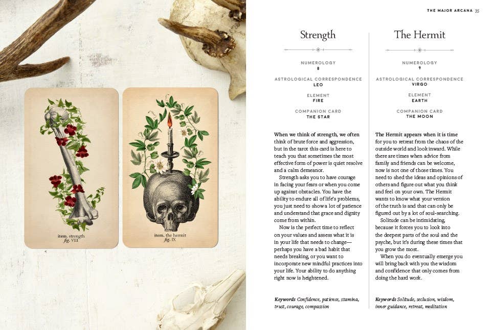 Antique Anatomy Tarot Kit