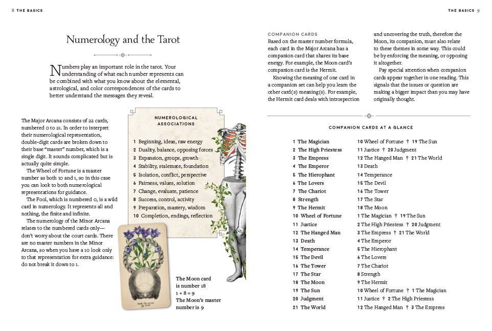 Antique Anatomy Tarot Kit